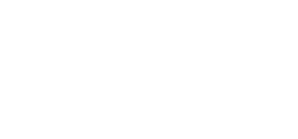 DIGITAL FRONTIER GRAND PRIX 2021